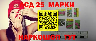 гашик Кулебаки