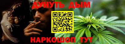 гашик Кулебаки