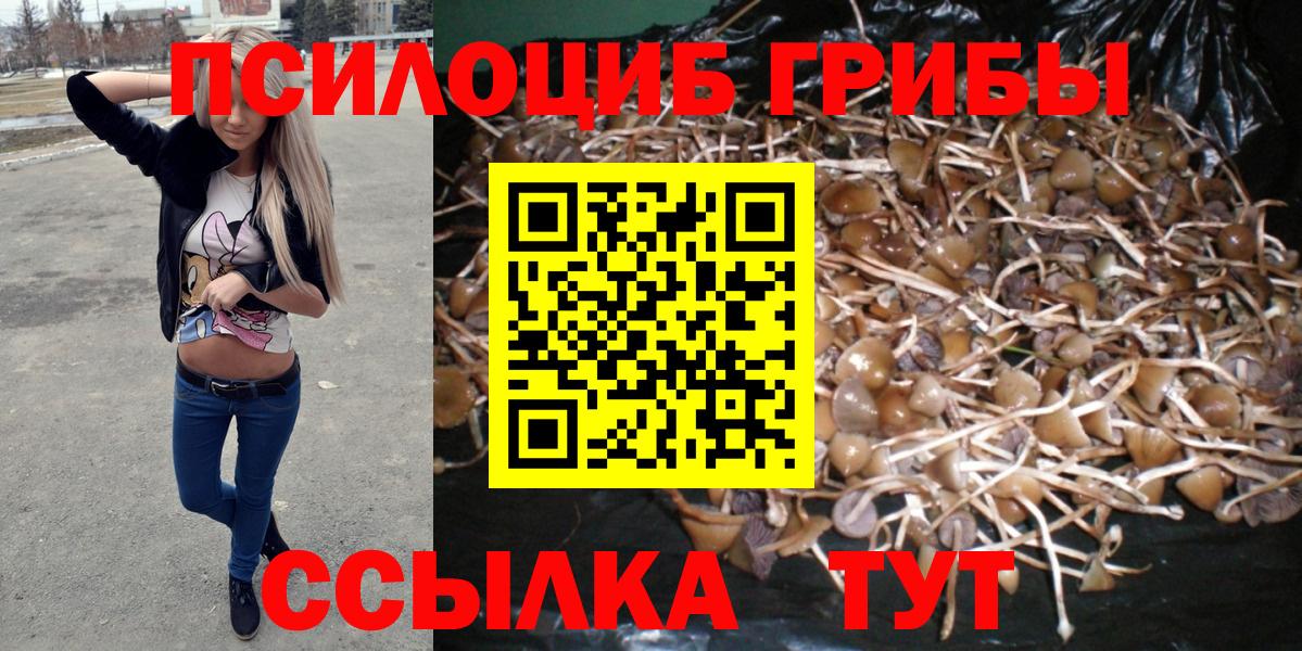 как найти наркотики  Вход с VPN  Добрянка  Галлюциногенные грибы GOLDEN TEACHER 